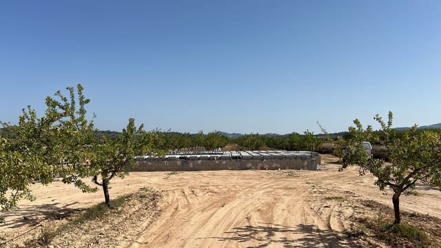 3 camera da letto Villa in vendita in Pinoso con piscina - 392.709 € (Rif: 8759055)