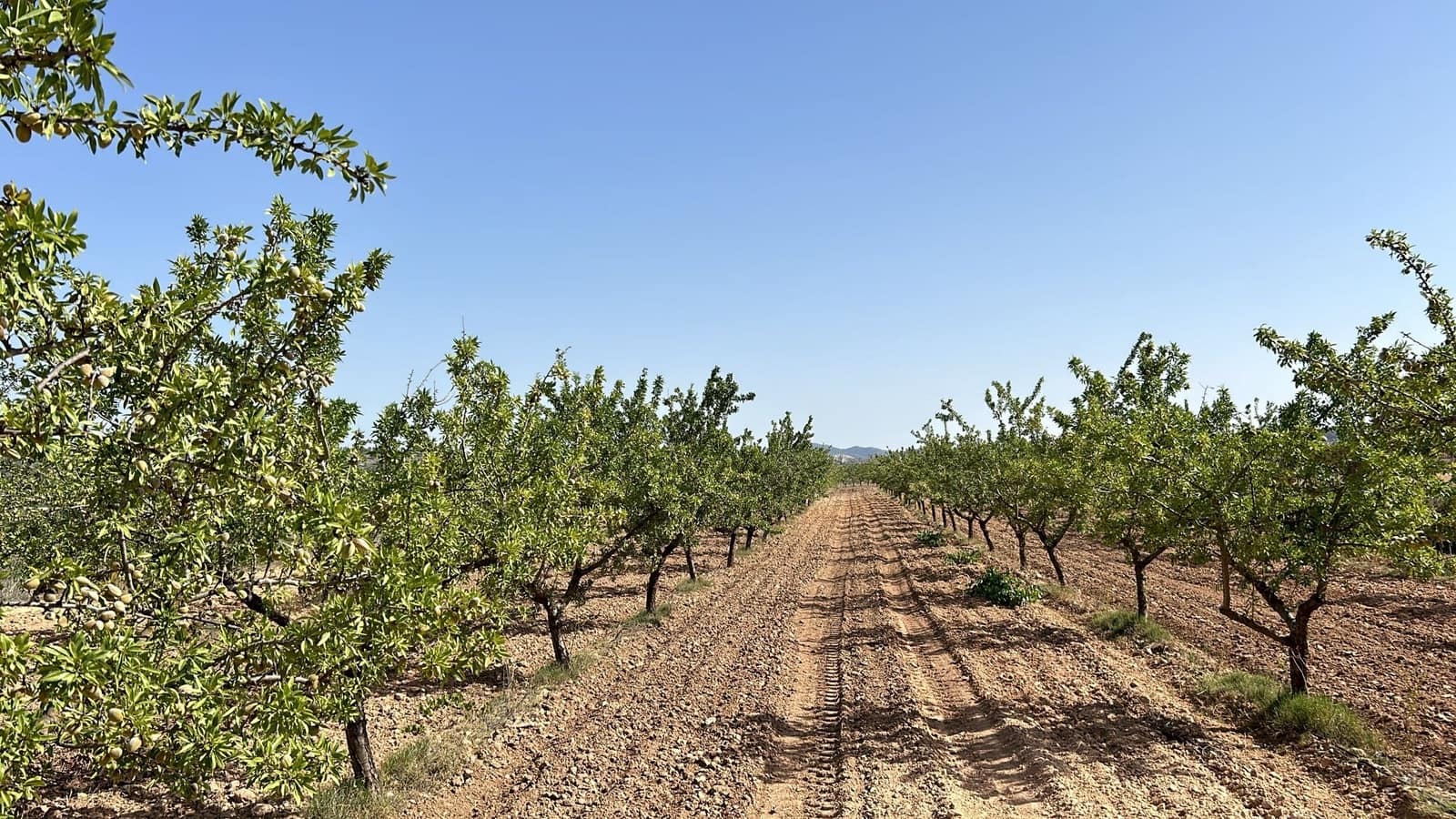 3 bedroom Villa for sale in Pinoso with pool - € 392,709 (Ref: 8759055)