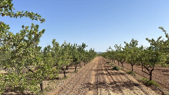 3 camera da letto Villa in vendita in Pinoso con piscina - 392.709 € (Rif: 8759055)