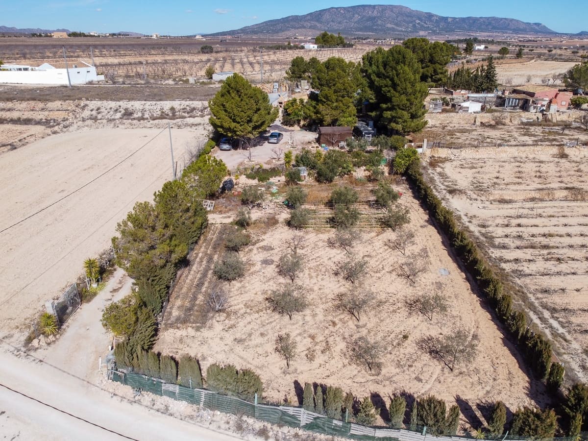 3 soveværelse Finca/Landehus til salg i Pinoso med swimmingpool - € 149.995 (Ref: 8841881)