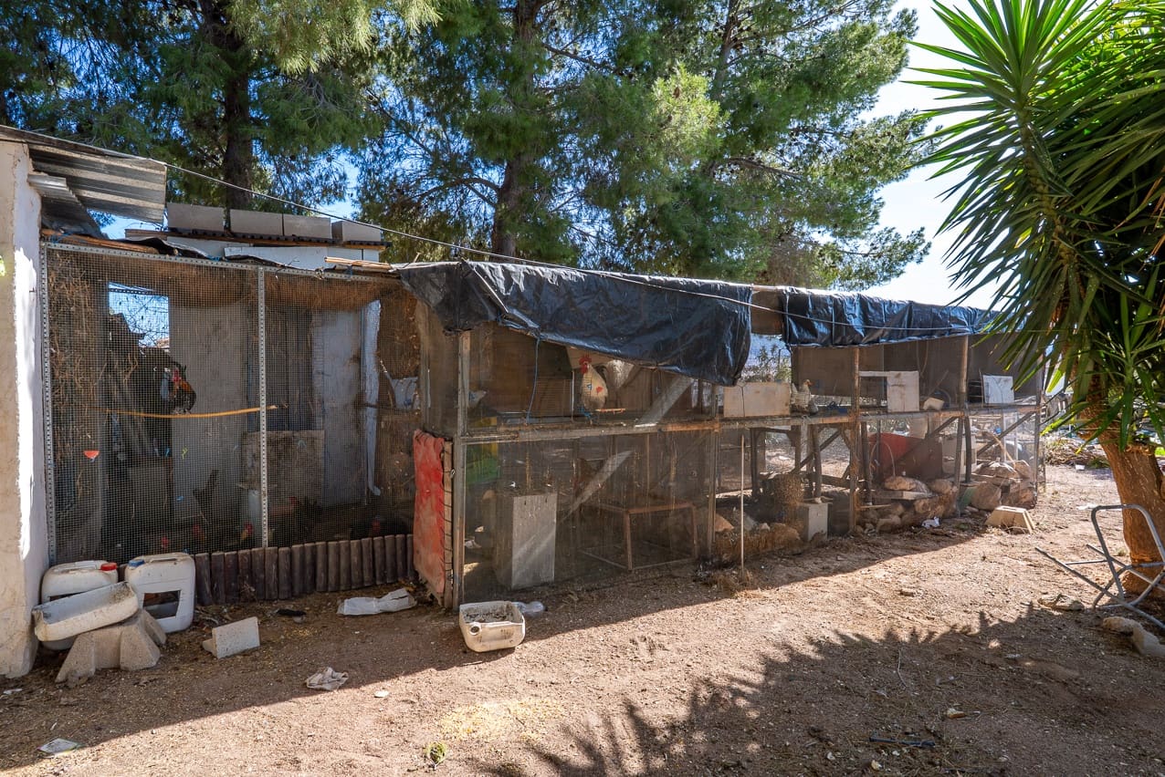 3 soveværelse Finca/Landehus til salg i Pinoso med swimmingpool - € 149.995 (Ref: 8841881)