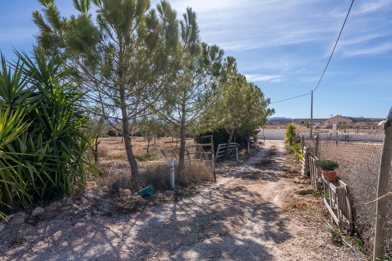 3 soveværelse Finca/Landehus til salg i Pinoso med swimmingpool - € 149.995 (Ref: 8841881)