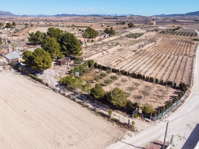 3 quarto Quinta/Casa Rural para venda em Pinoso com piscina - 149 995 € (Ref: 8841881)