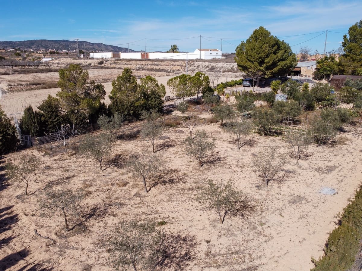 3 soveværelse Finca/Landehus til salg i Pinoso med swimmingpool - € 149.995 (Ref: 8841881)