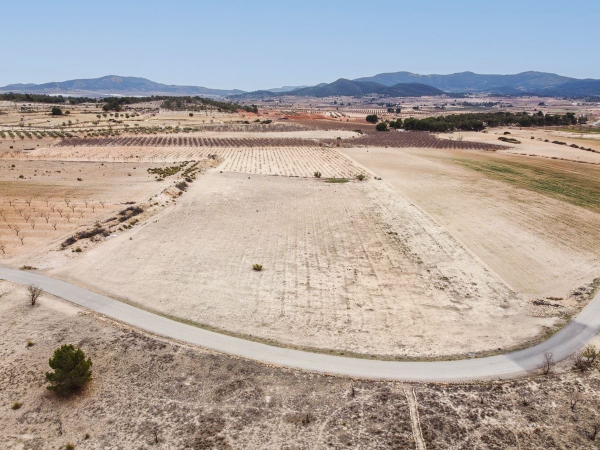 Mark till salu i Monovar / Monover - 29 995 € (Ref: 8842310)