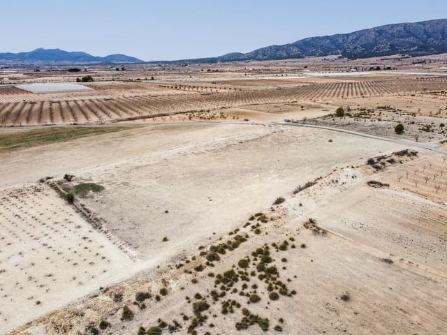 Mark till salu i Monóvar / Monóver - 29 995 € (Ref: 8842310)