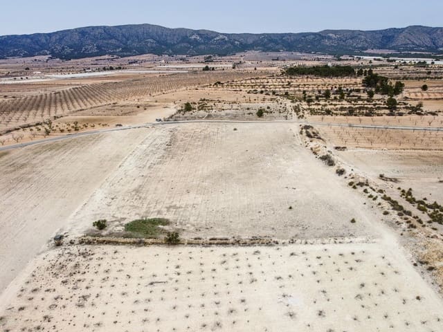 Mark till salu i Monóvar / Monóver - 29 995 € (Ref: 8842310)