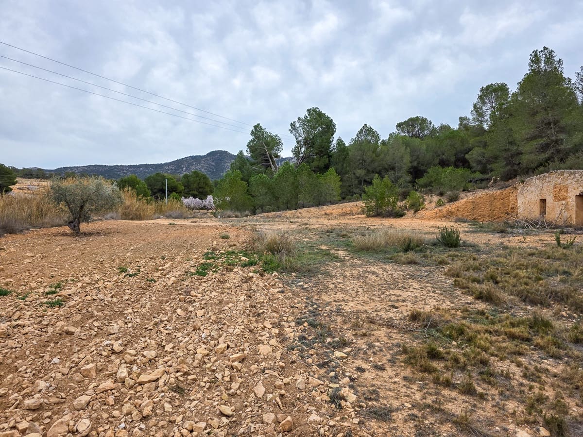 Grond te koop in La Zarza - € 49.950 (Ref: 8853026)