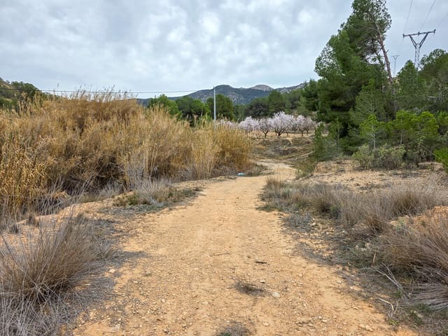 Landgrundstück zu verkaufen in La Zarza, Pinoso - 49.950 € (Ref: 8853026)