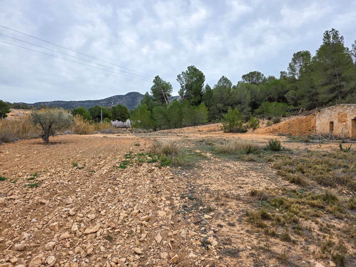Undeveloped Land for sale in La Zarza - € 49,950 (Ref: 8853026)