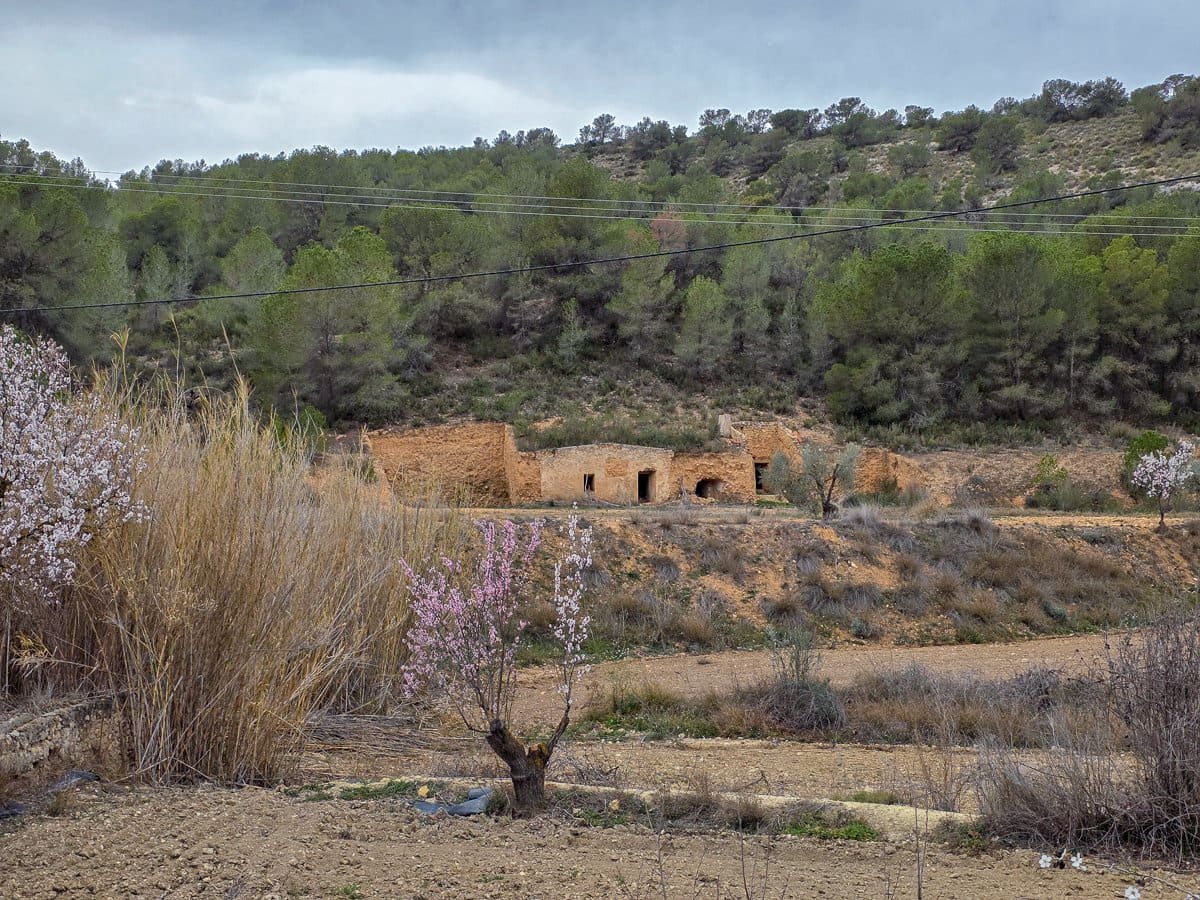 Undeveloped Land for sale in La Zarza - € 49,950 (Ref: 8853026)