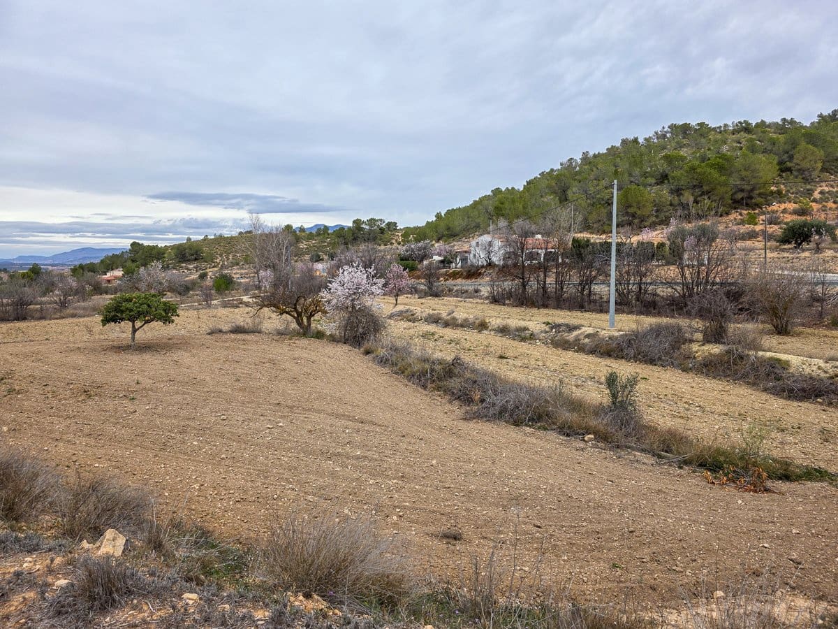 Undeveloped Land for sale in La Zarza - € 49,950 (Ref: 8853026)