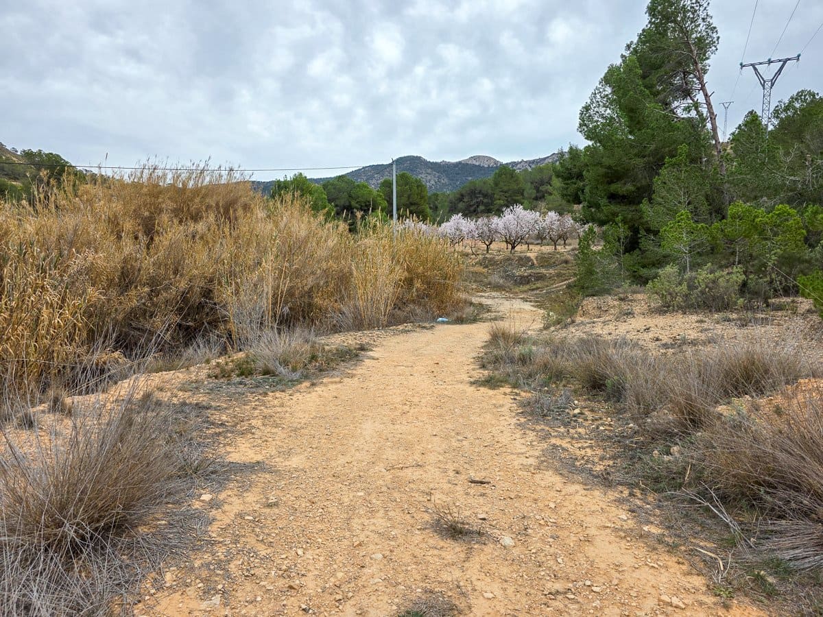 Undeveloped Land for sale in La Zarza - € 49,950 (Ref: 8853026)