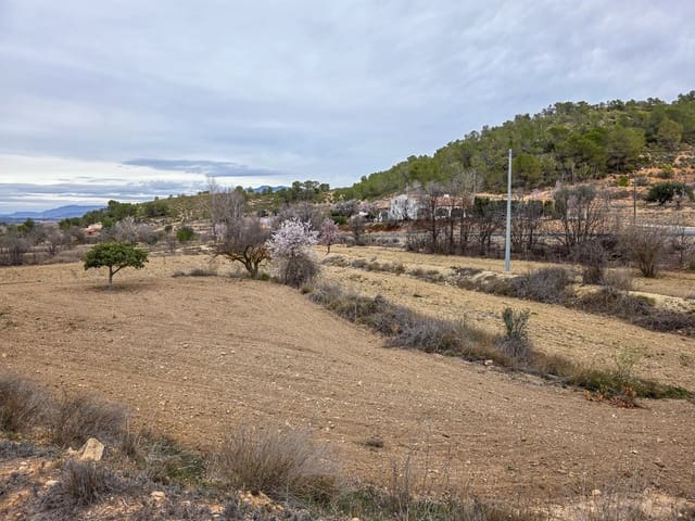 Ubebygd land til salgs i La Zarza, Pinoso - € 49 950 (Ref: 8853026)