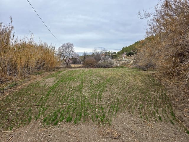 Ubebygd land til salgs i La Zarza, Pinoso - € 49 950 (Ref: 8853026)
