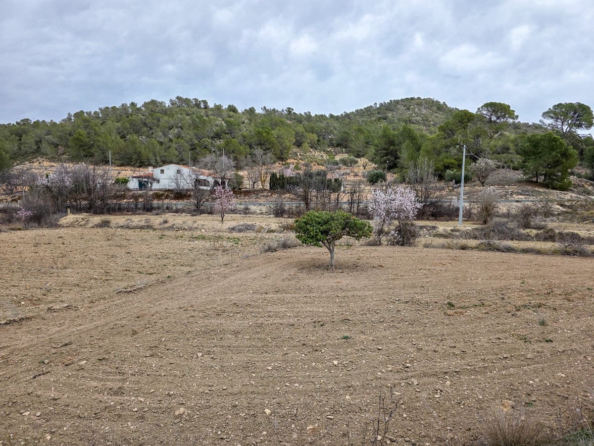 Undeveloped Land for sale in La Zarza - € 49,950 (Ref: 8853026)