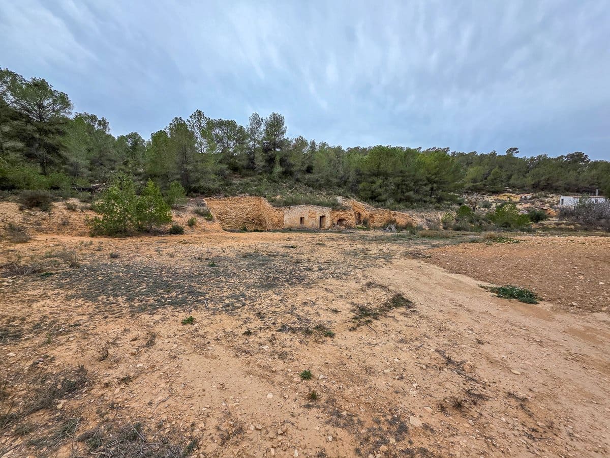 Undeveloped Land for sale in La Zarza - € 49,950 (Ref: 8853026)