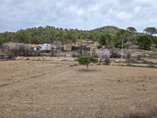 Ubebygd land til salgs i La Zarza, Pinoso - € 49 950 (Ref: 8853026)