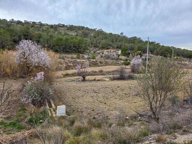 Ubebygd land til salgs i La Zarza, Pinoso - € 49 950 (Ref: 8853026)