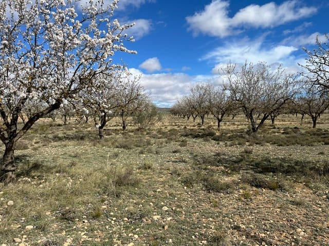 Mark till salu i Yecla - 55 000 € (Ref: 8866380)