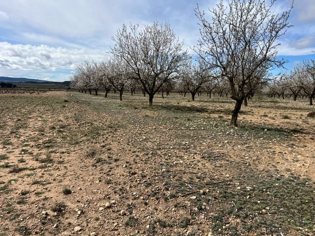 Mark till salu i Yecla - 55 000 € (Ref: 8866380)