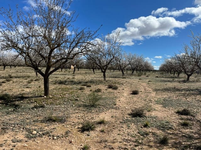 Mark till salu i Yecla - 55 000 € (Ref: 8866380)