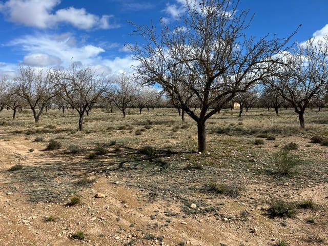 Mark till salu i Yecla - 55 000 € (Ref: 8866380)