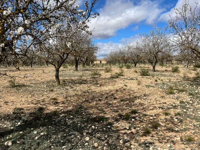 Mark till salu i Yecla - 55 000 € (Ref: 8866380)