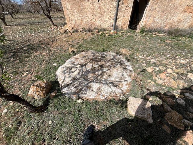 Mark till salu i Yecla - 55 000 € (Ref: 8866380)