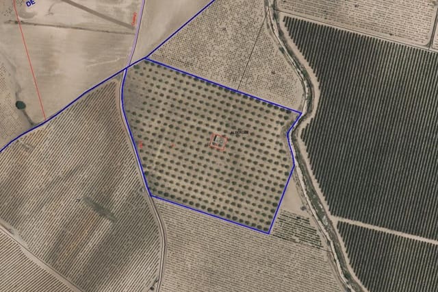 Mark till salu i Yecla - 55 000 € (Ref: 8866380)