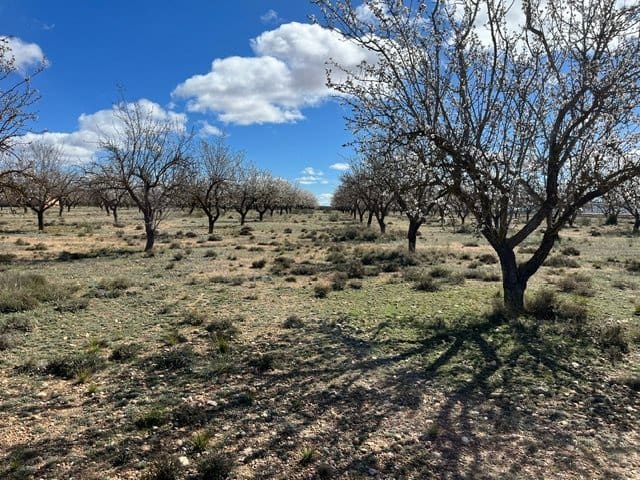 Terreno/Finca Rústica en Yecla en venta - 50.000 € (Ref: 8866380)