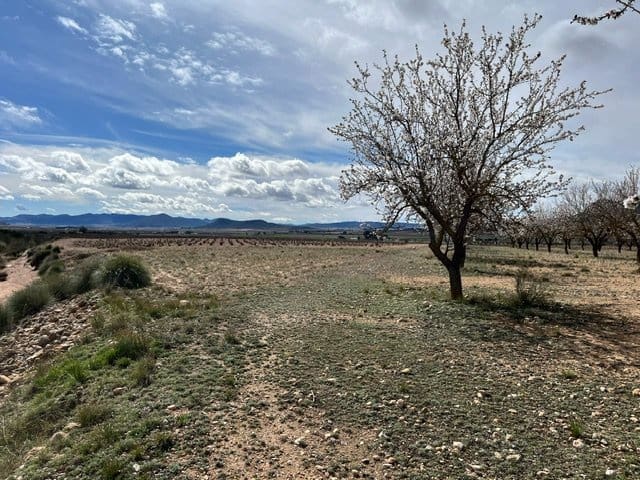 Undeveloped Land for sale in Yecla - € 50,000 (Ref: 8866380)