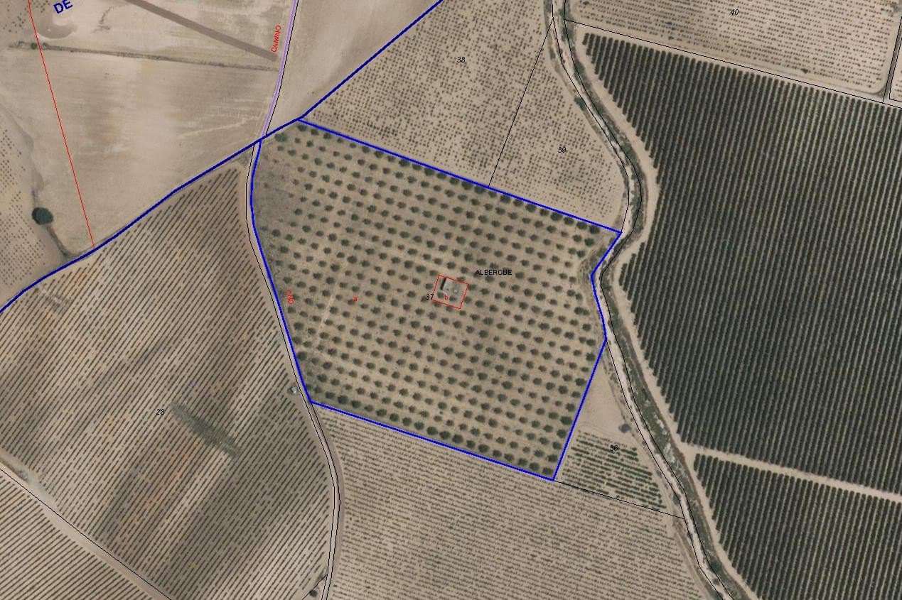 Undeveloped Land for sale in Yecla - € 50,000 (Ref: 8866380)