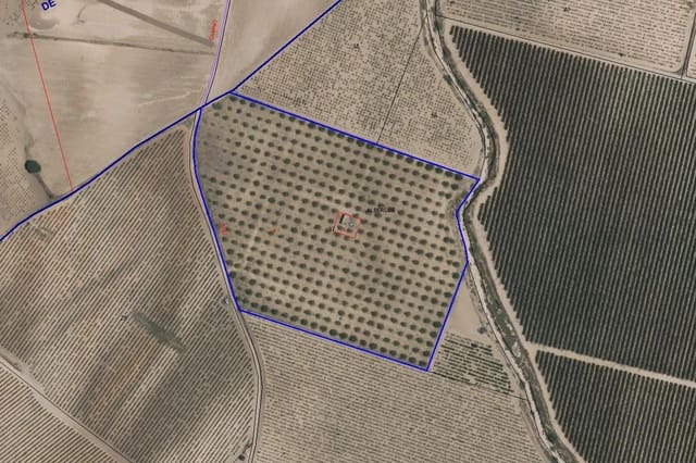 Terreno/Finca Rústica en Yecla en venta - 50.000 € (Ref: 8866380)