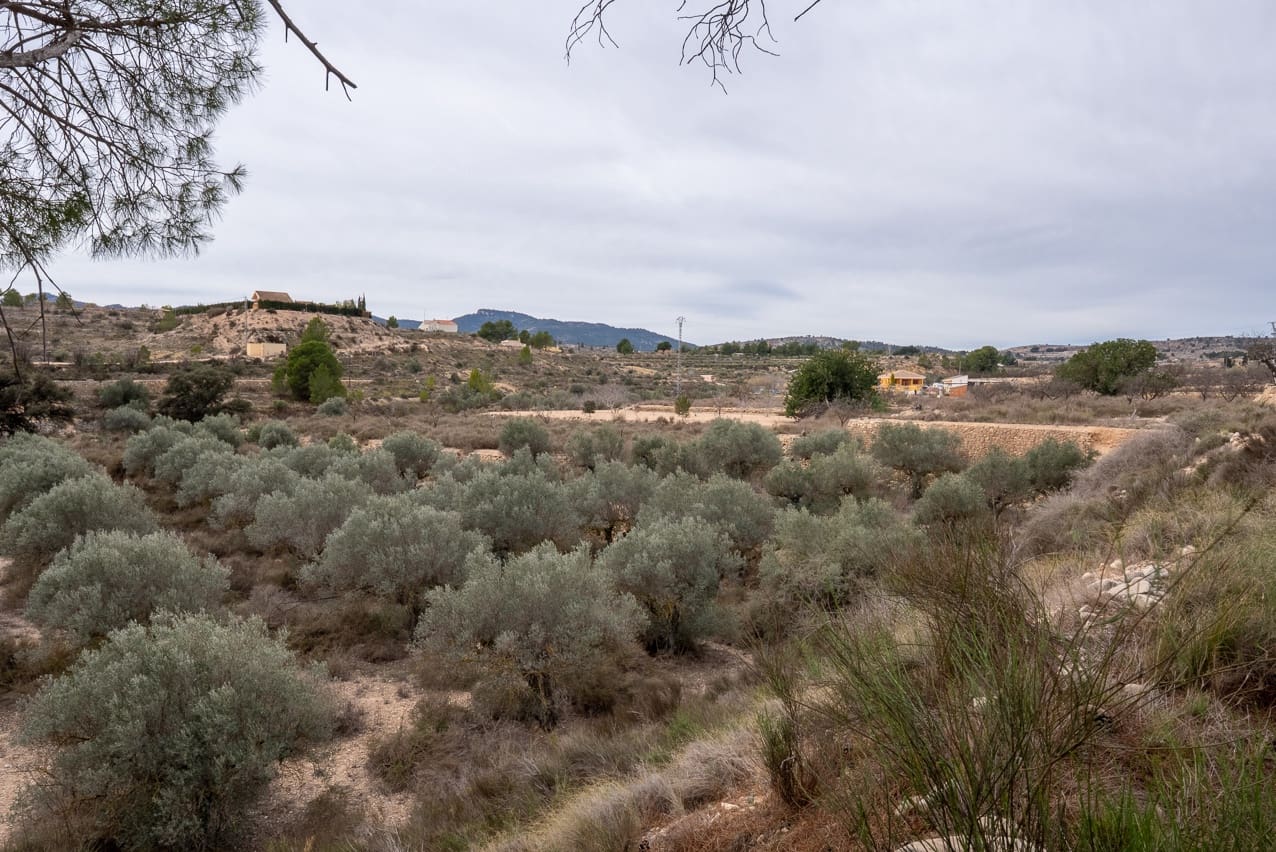 4 camera da letto Finca/Casa di Campagna in vendita in Monovar / Monover con piscina - 180.000 € (Rif: 8879034)