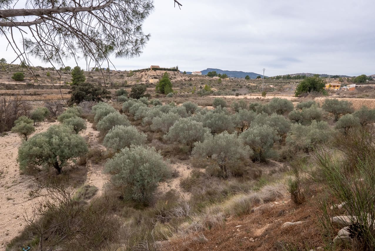 4 camera da letto Finca/Casa di Campagna in vendita in Monovar / Monover con piscina - 180.000 € (Rif: 8879034)