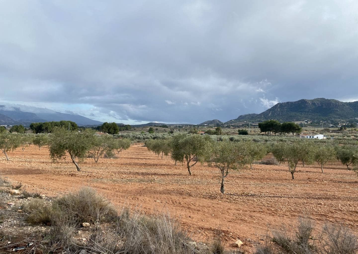 2 soveværelse Finca/Landehus til salg i Sax med swimmingpool - € 240.000 (Ref: 8885146)