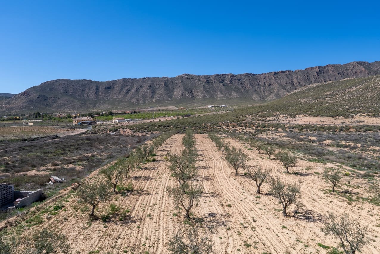 7 sypialnia Finka/Dom wiejski na sprzedaż w Jumilla z basenem - 299 995 € (Ref: 8913515)