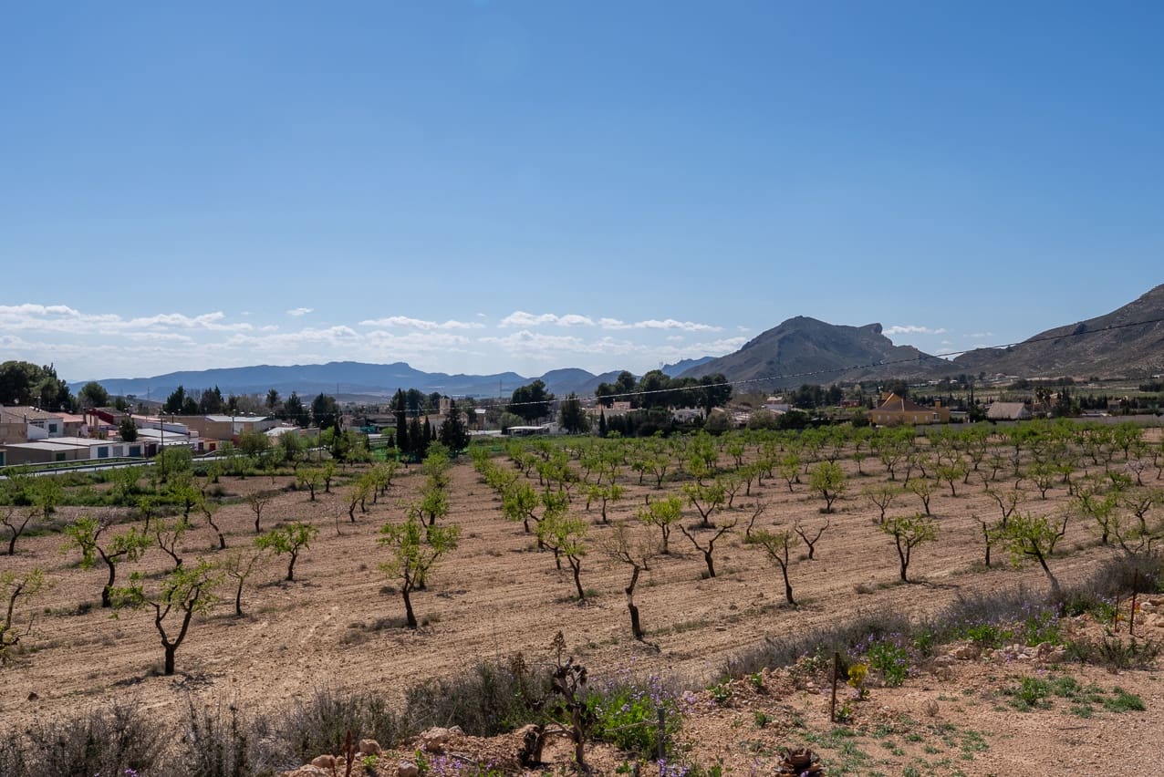 7 sypialnia Finka/Dom wiejski na sprzedaż w Jumilla z basenem - 299 995 € (Ref: 8913515)