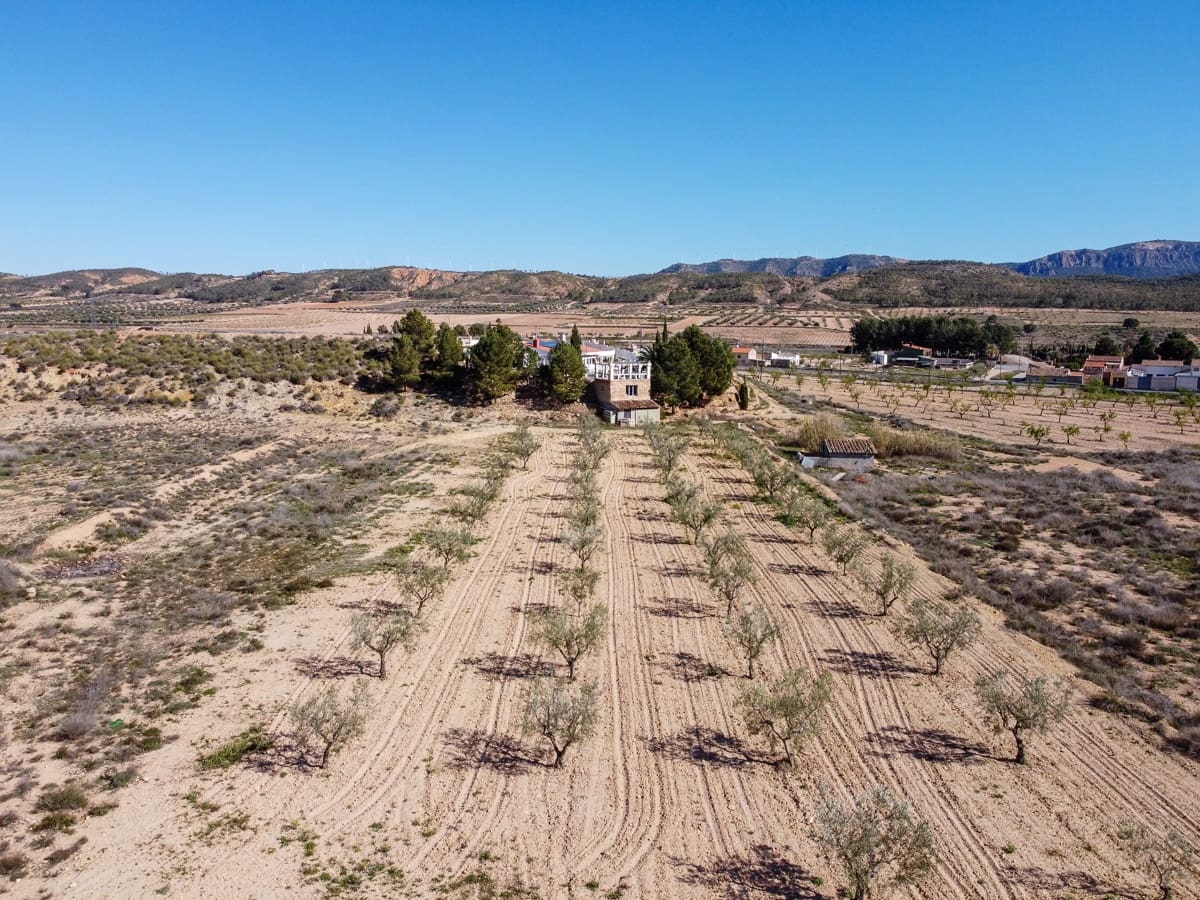 7 sypialnia Finka/Dom wiejski na sprzedaż w Jumilla z basenem - 299 995 € (Ref: 8913515)