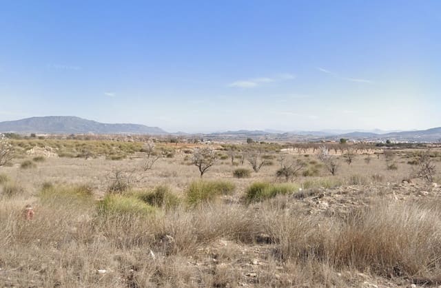 Undeveloped Land for sale in Pinoso - € 99,950 (Ref: 8941853)