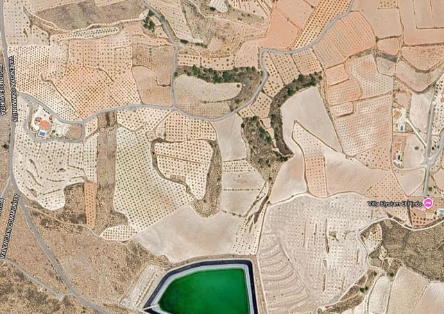 Undeveloped Land for sale in Pinoso - € 99,950 (Ref: 8941853)