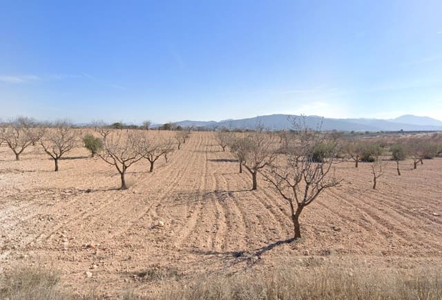 Ubebygd land til salgs i Pinoso - € 260 000 (Ref: 8941854)