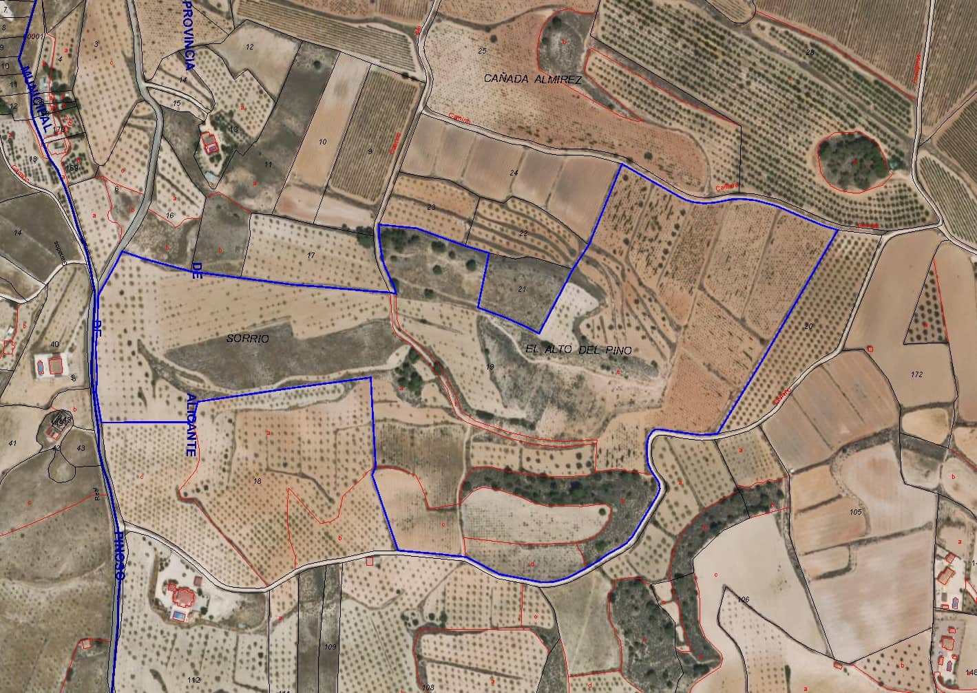 Mark till salu i Pinoso - 260 000 € (Ref: 8941854)