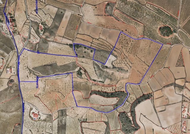 Ubebygd land til salgs i Pinoso - € 260 000 (Ref: 8941854)