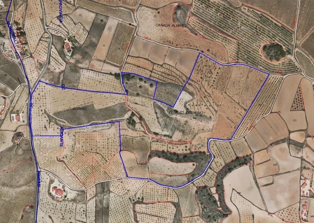 Undeveloped Land for sale in Pinoso - € 260,000 (Ref: 8941854)