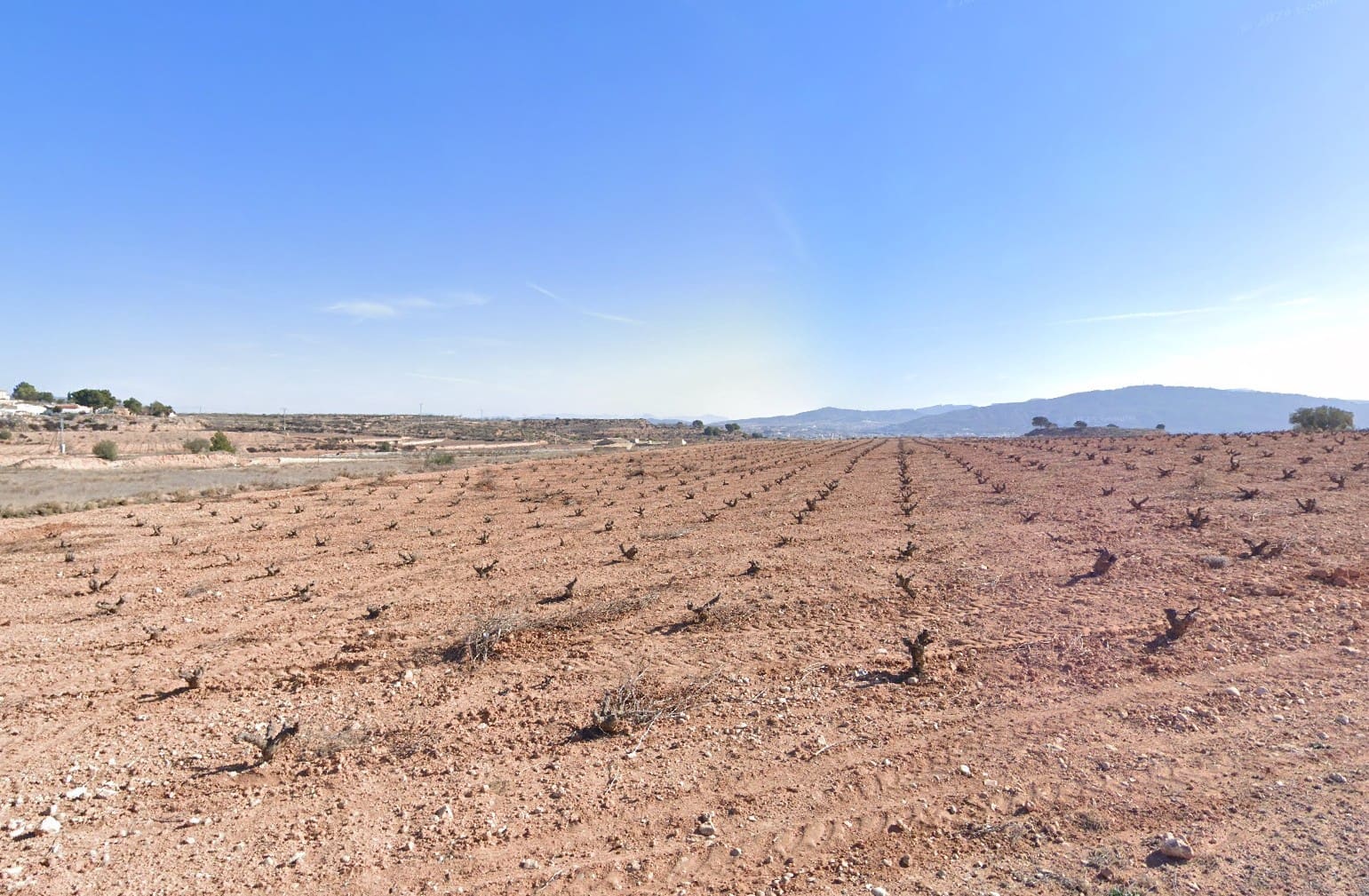 Grond te koop in Pinoso - € 99.950 (Ref: 8941856)