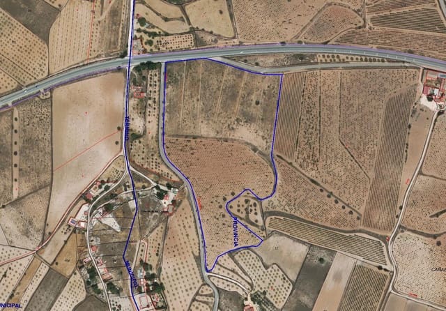 Undeveloped Land for sale in Pinoso - € 99,950 (Ref: 8941856)