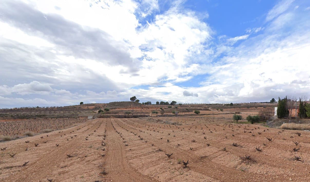 Mark till salu i Pinoso - 130 000 € (Ref: 8941857)