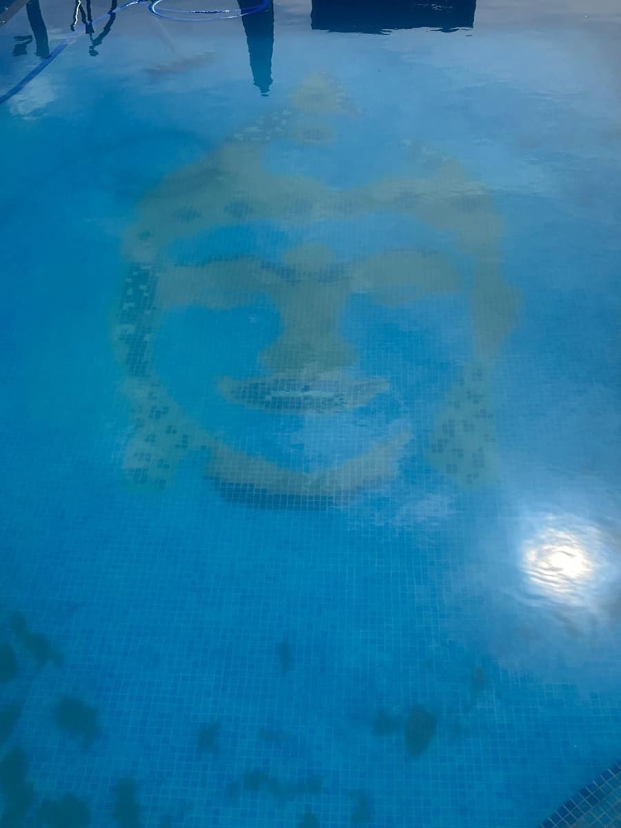 4 soveværelse Villa til salg i Salinas med swimmingpool - € 495.000 (Ref: 8973420)